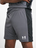 Under Armour Challenger Shorts Castle Rock Grey from Saxumo