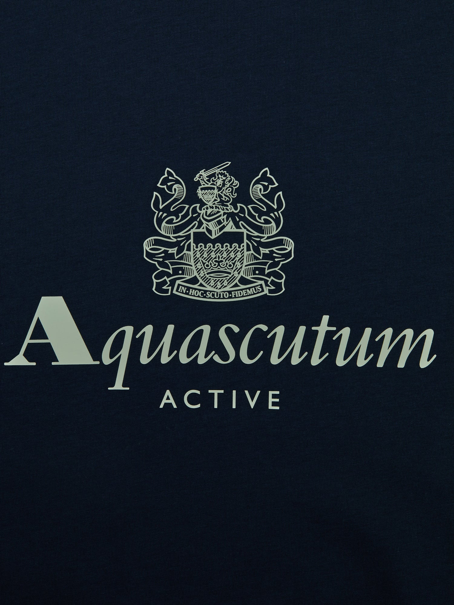 Aquascutum Big Logo T-shirt Navy from Saxumo.com