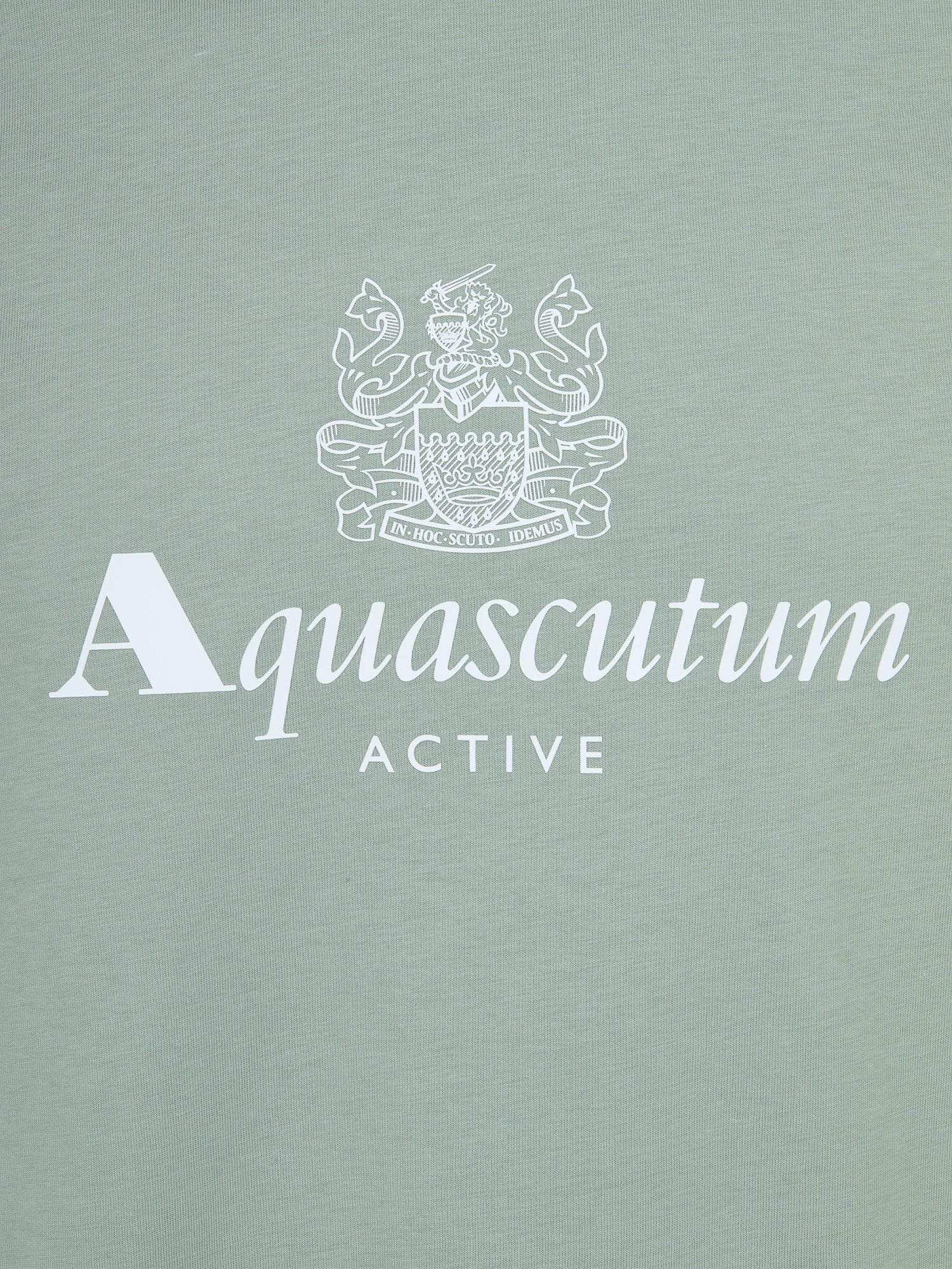 Aquascutum Big Logo T-shirt Salvia from Saxumo.com