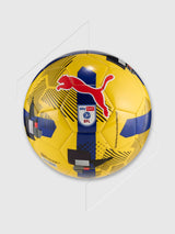 Puma Orbita 6 EFL Sky Bet Training Football 25/26 - Yellow/Blue