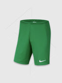 Nike Dri-Fit Short Pine Green from Saxumo