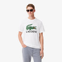 Lacoste Jersey Signature Print T-Shirt White